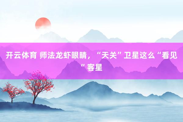 开云体育 师法龙虾眼睛，“天关”卫星这么“看见”客星