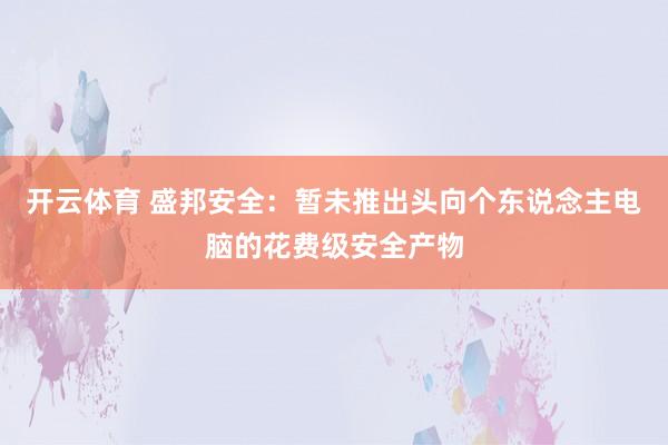 开云体育 盛邦安全：暂未推出头向个东说念主电脑的花费级安全产物