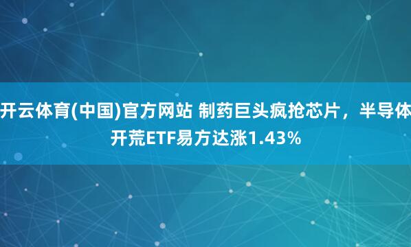 开云体育(中国)官方网站 制药巨头疯抢芯片，半导体开荒ETF易方达涨1.43%