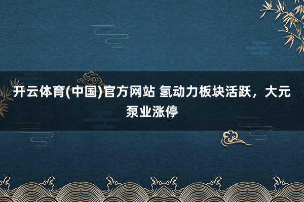 开云体育(中国)官方网站 氢动力板块活跃，大元泵业涨停
