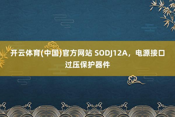 开云体育(中国)官方网站 SODJ12A，电源接口过压保护器件