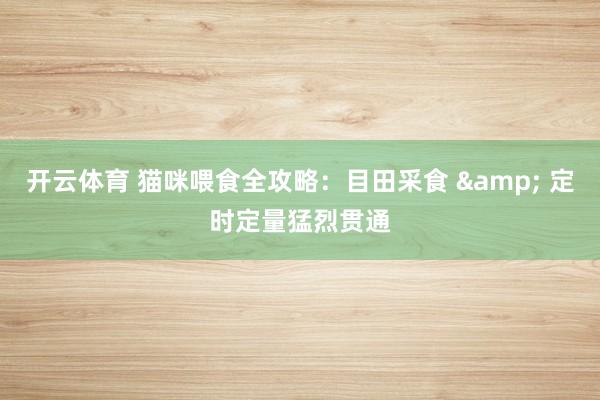 开云体育 猫咪喂食全攻略：目田采食 & 定时定量猛烈贯通