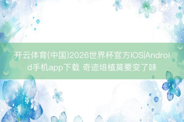 开云体育(中国)2026世界杯官方IOS|Android手机app下载 奇迹培植莫要变了味