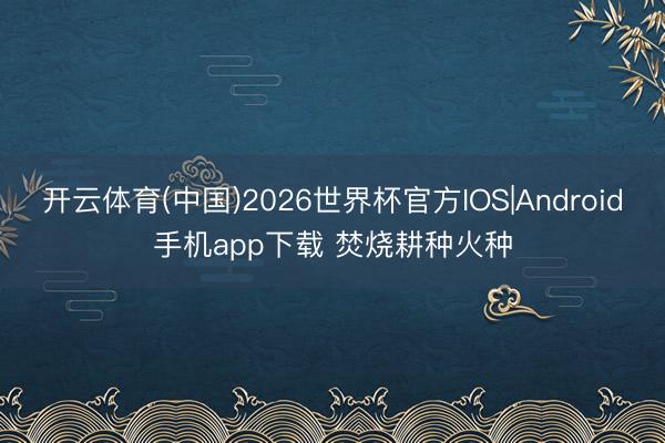 开云体育(中国)2026世界杯官方IOS|Android手机app下载 焚烧耕种火种