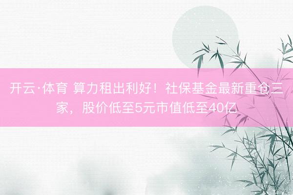 开云·体育 算力租出利好！社保基金最新重仓三家，股价低至5元市值低至40亿