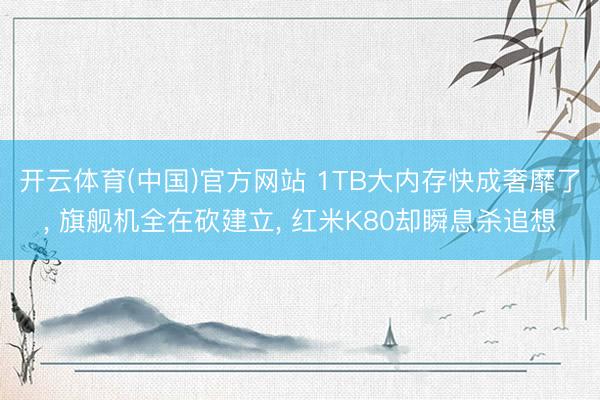 开云体育(中国)官方网站 1TB大内存快成奢靡了, 旗舰机全在砍建立, 红米K80却瞬息杀追想