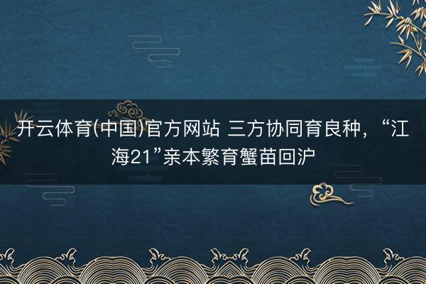 开云体育(中国)官方网站 三方协同育良种，“江海21”亲本繁育蟹苗回沪